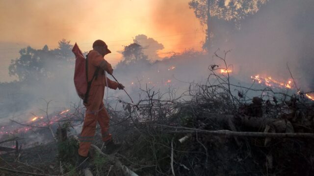 Kebakaran Hutan -