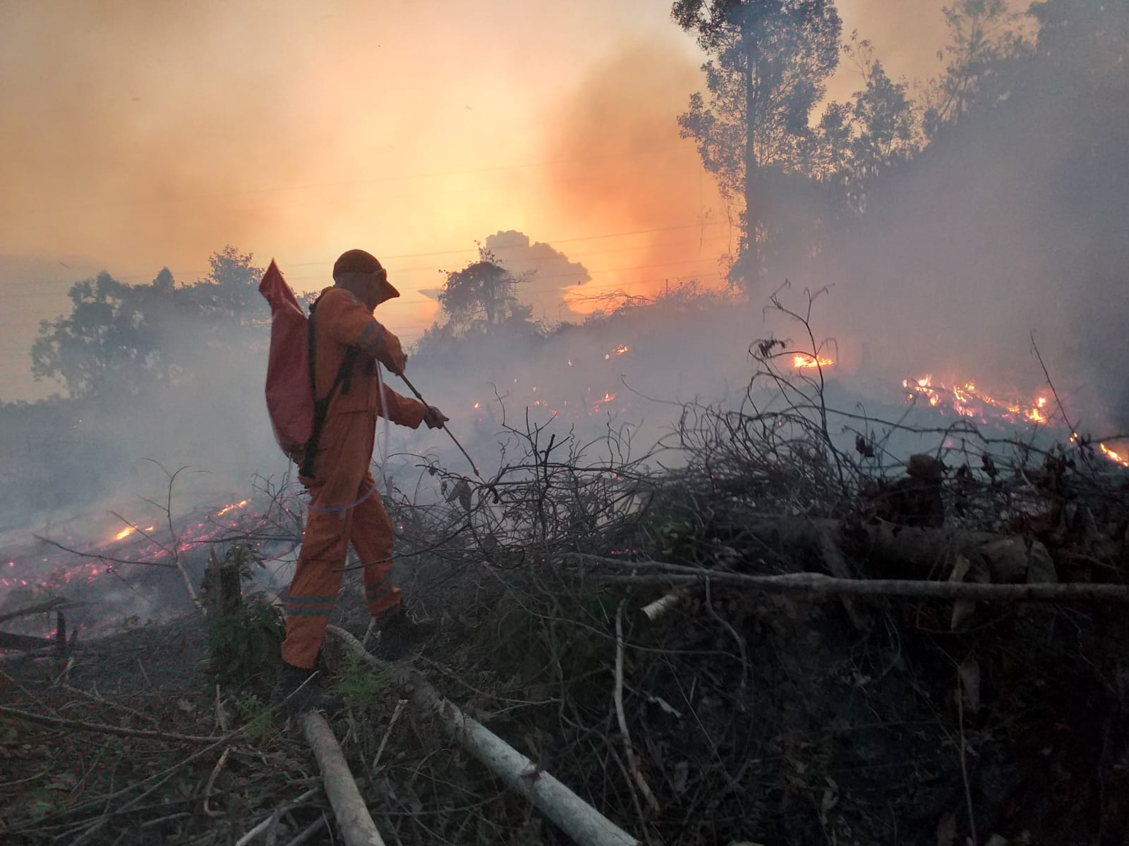 Kebakaran Hutan -